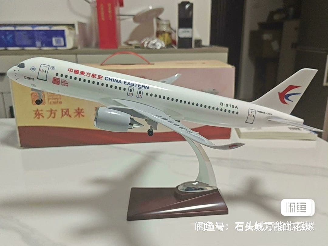 お*ん様 【希少品】C919 1/100 世界初の中国産旅客機 37cm 金属製
