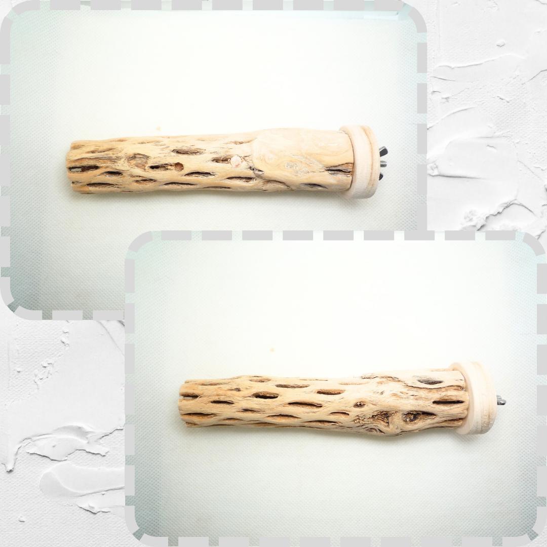 R@　おまとめ　カクタスパーチ　３本