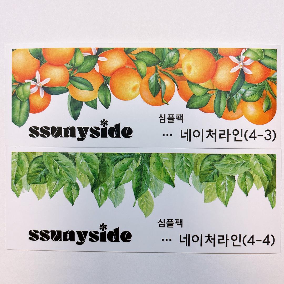 S235.装飾ステッカー　韓国作家　ssunyside(黒いたぬき)　バラ売り〇