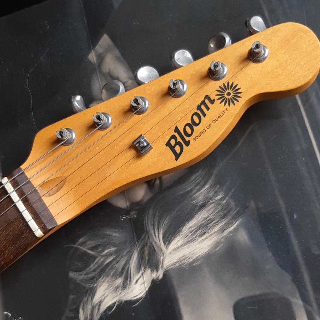Bloom テレキャスター タイプ エレキ ギター