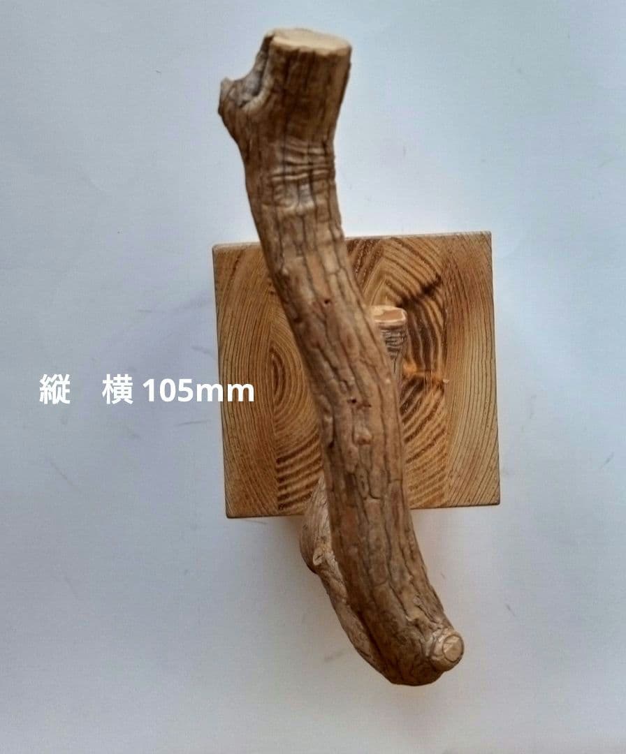 バードカービング　ホトトギス