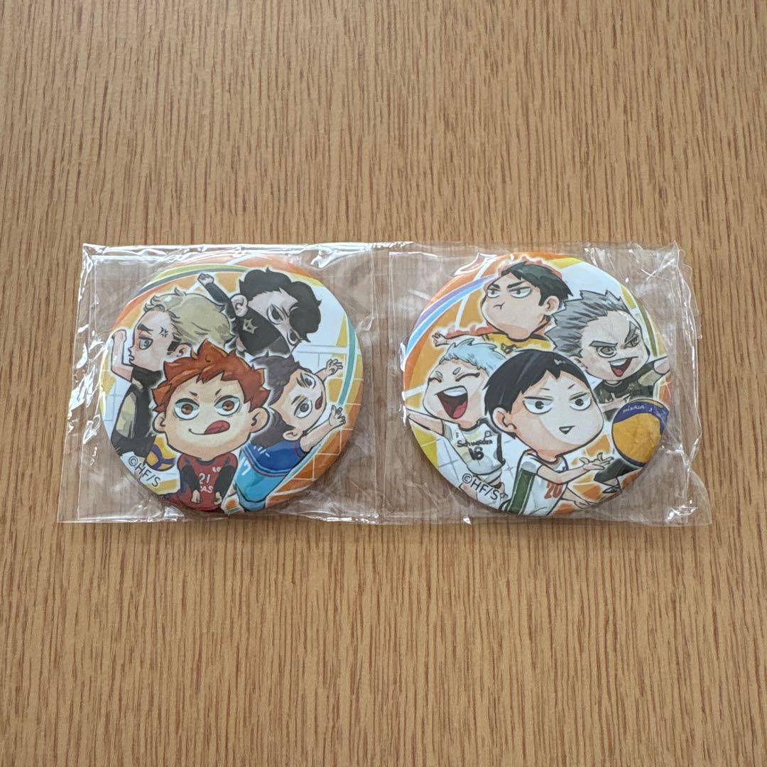 ハイキュー!! Vリーグ　チームセット・缶バッジ