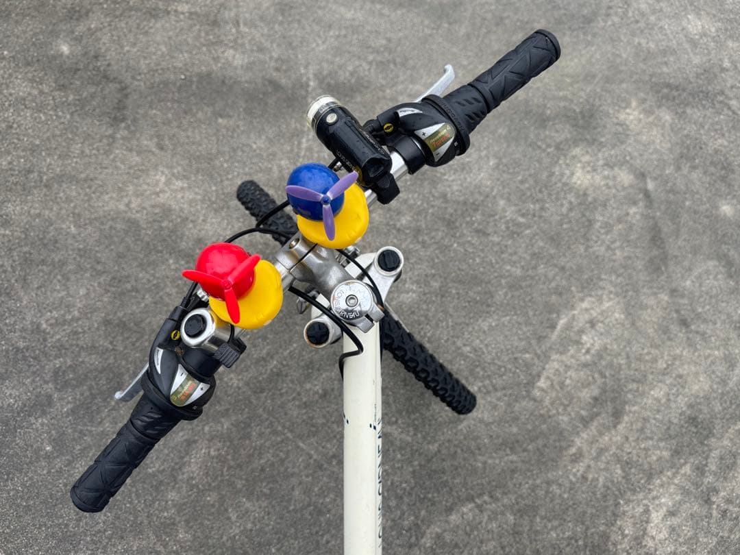 ルイガノ２４インチ（ヘルメット付き）