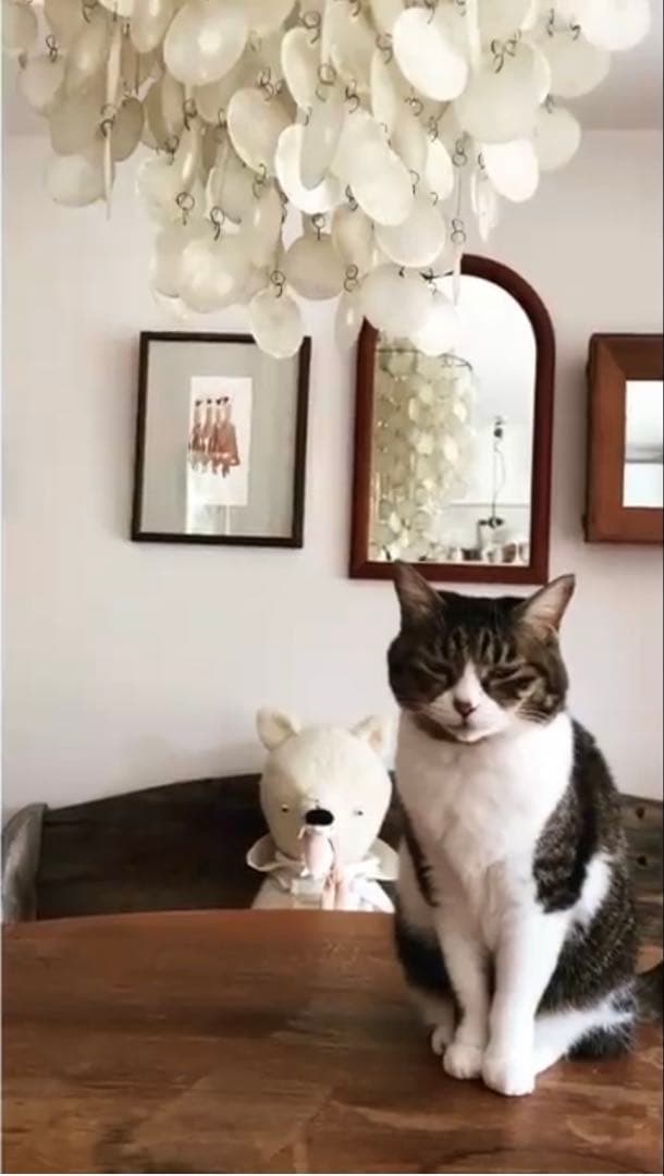 emi yamaguchiさんの絵 石井佳苗 Daily Life