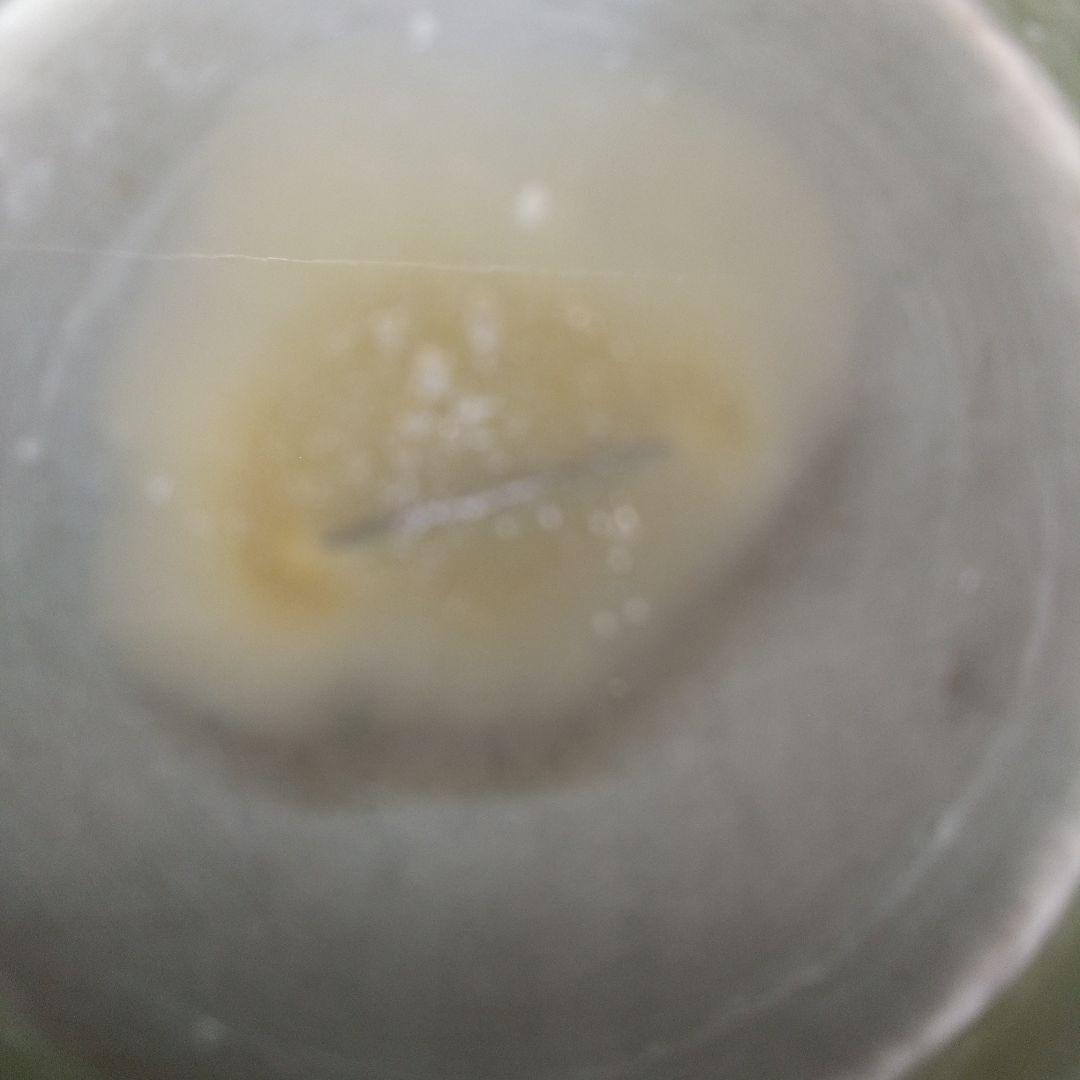 エミール・ガレの花瓶