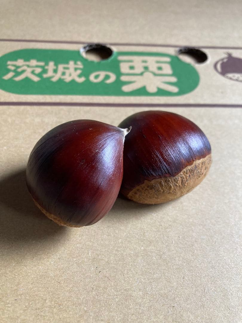 かもねぎさん専用　5キロ