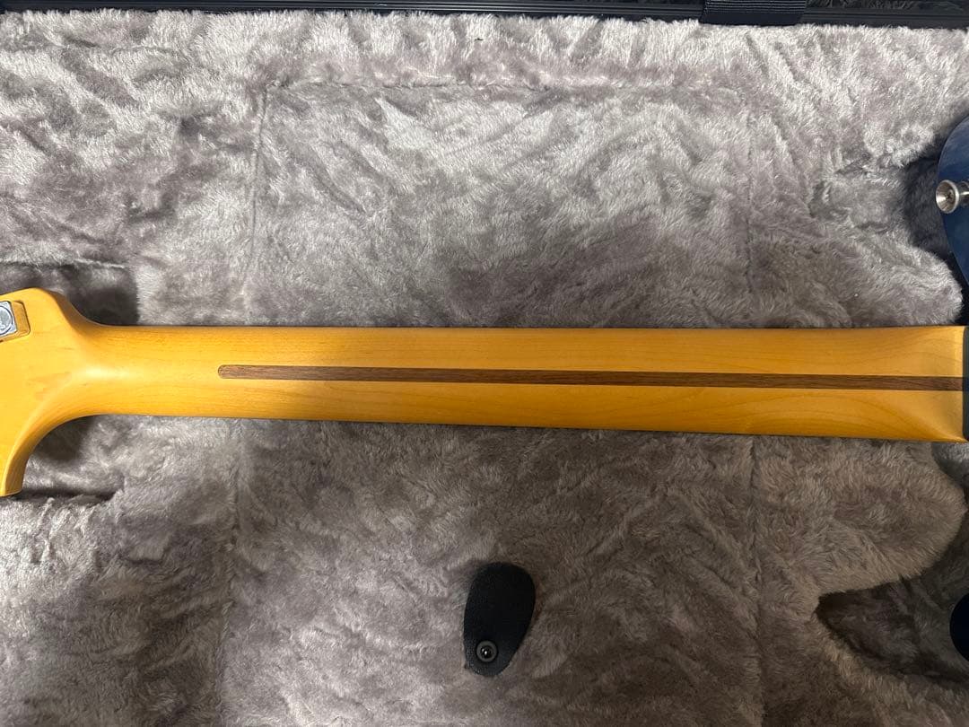 FenderAmerican Professional Ⅱ Telecaster