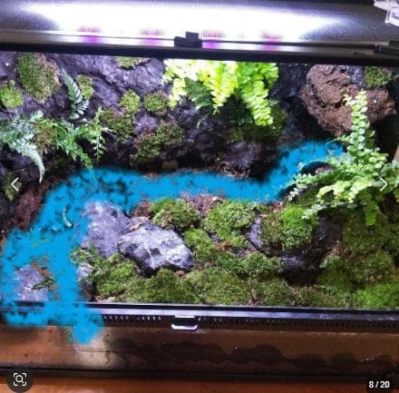 【受注生産】滝のあるアクアテラリウム　イモリウム　苔テラリウム　アクアテラリウム