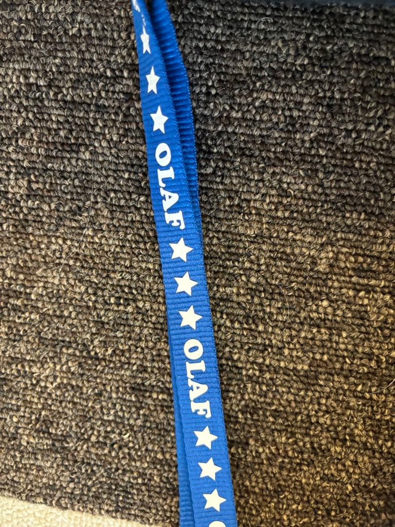 （希少）スヌーピーオラフ　カメラ型