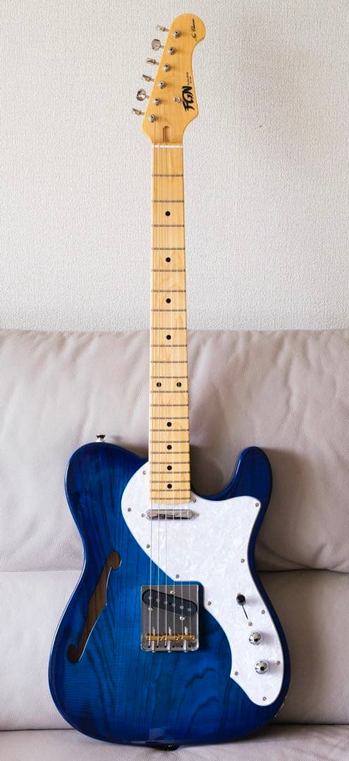 ギター FGN FUJIGEN NTE10MAH SBB Neo Classic