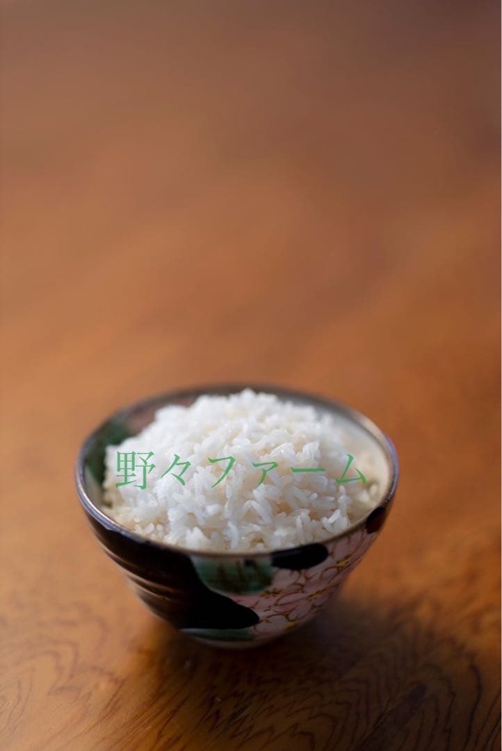 雪若丸　20kg 山形　令和7年　特別栽培米