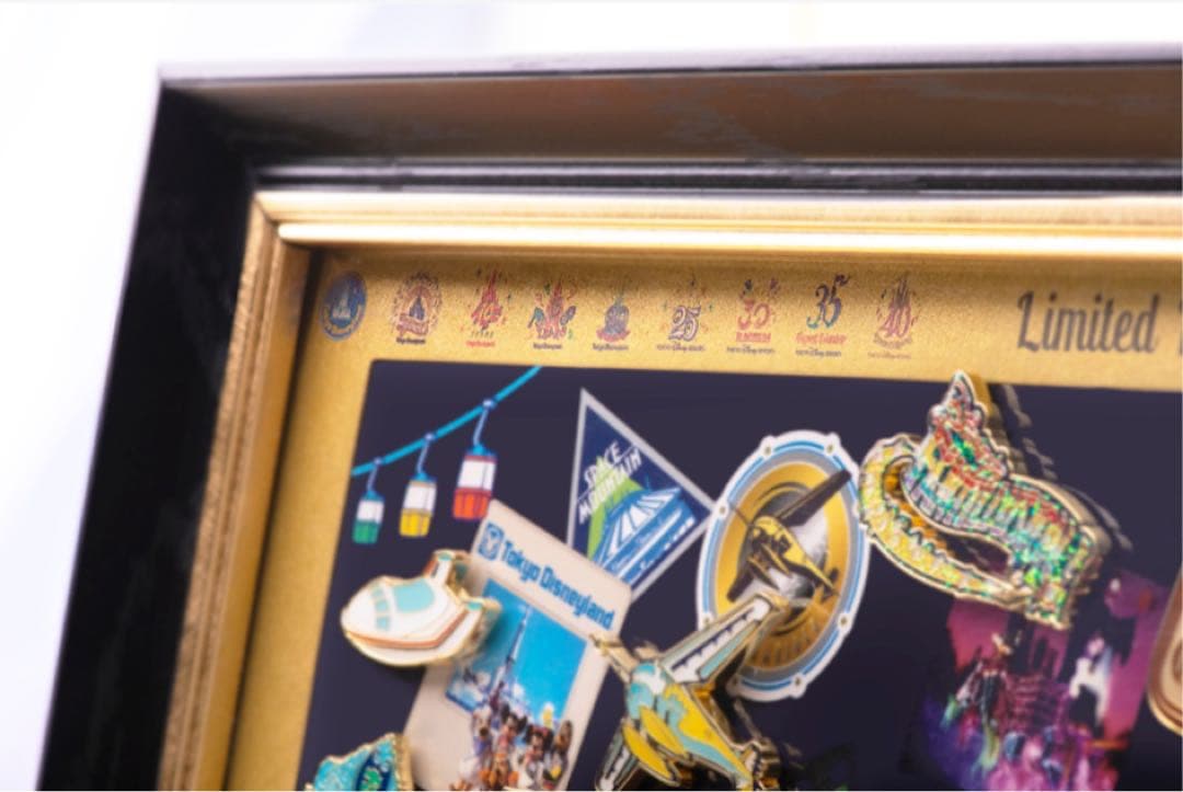 ディズニーランド40周年　ピンバッジ16個フレーム付きミッキーマウスと仲間たち