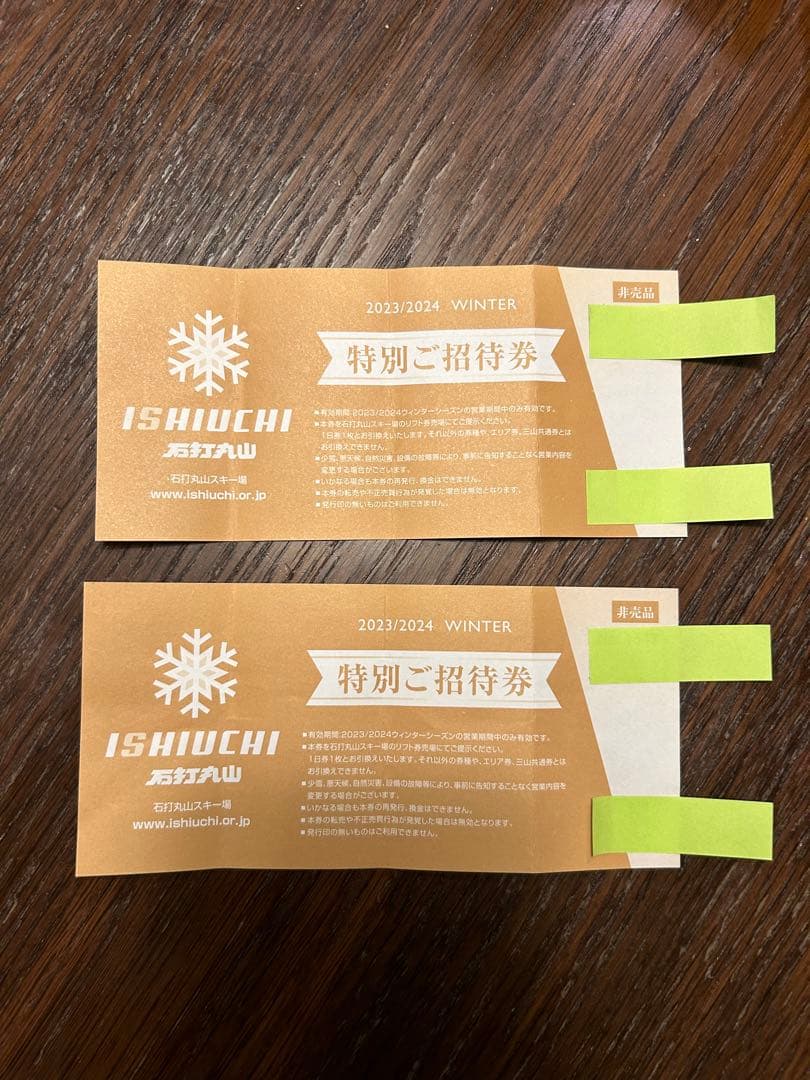 石内丸山 1日リフト券 2枚セット