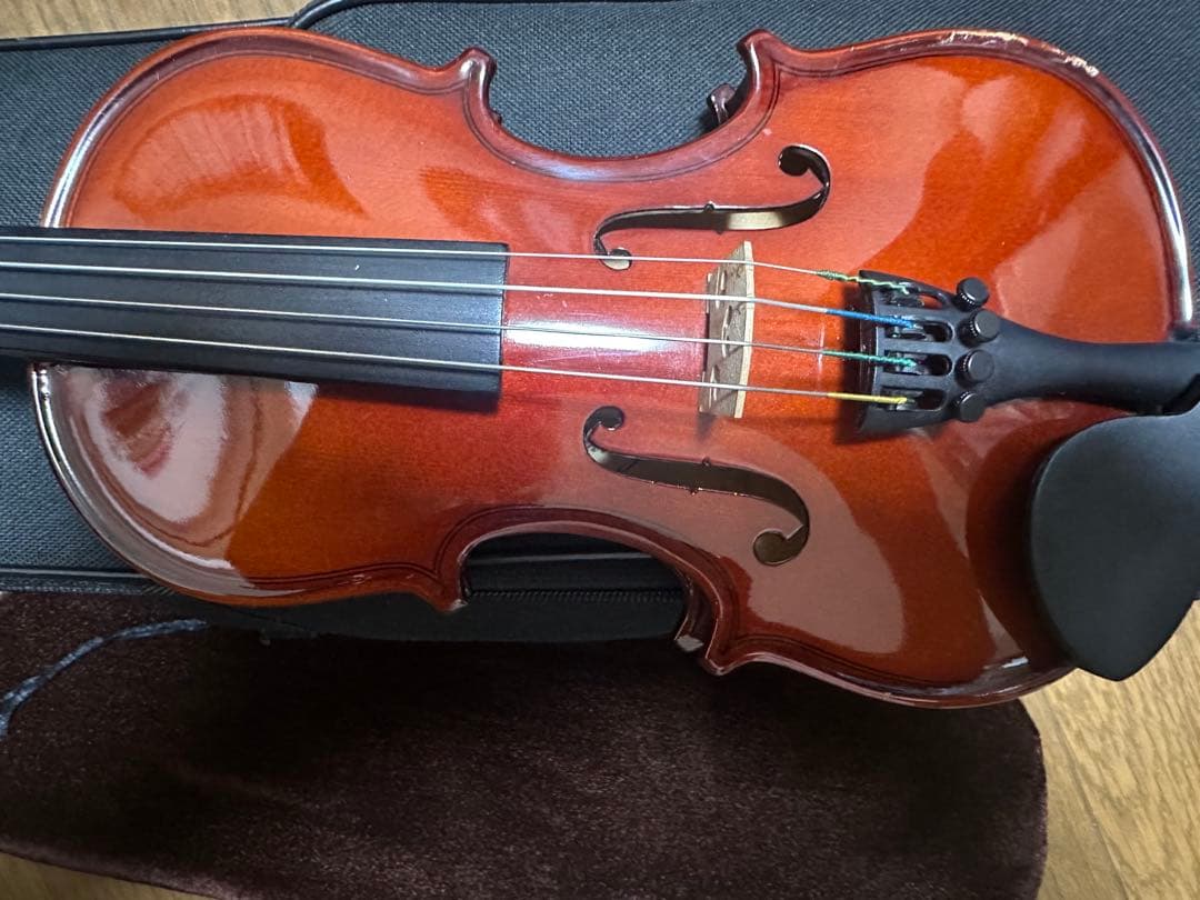 分数バイオリン1/10 カルロジョルダーノ