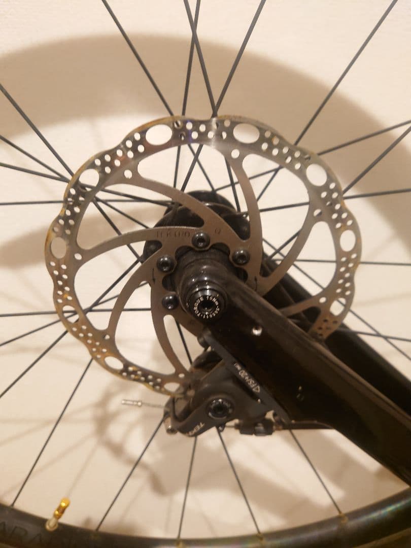 TREK DOMANE 2 2022年12月購入 サイズ54