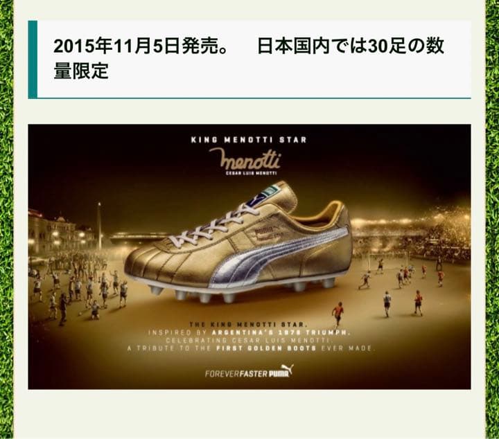 ⚠️国内30足限定⚠️プーマサッカースパイク