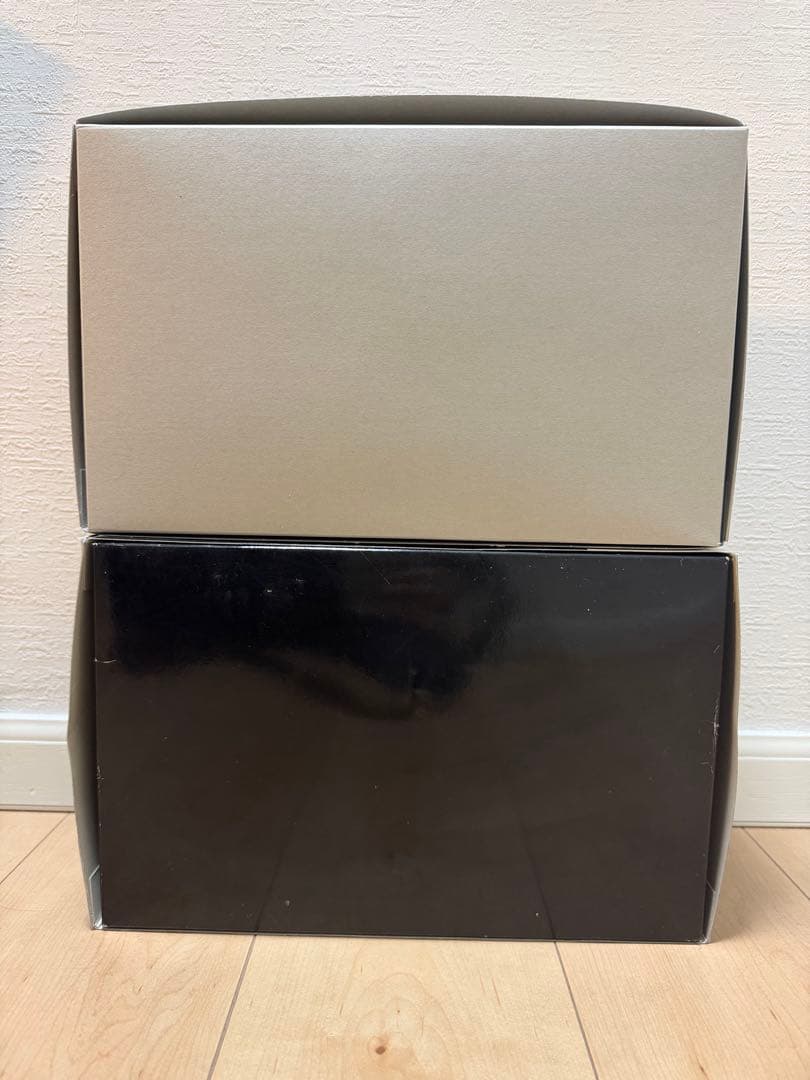 特限〜P還元中 RGガンプラ2体セット