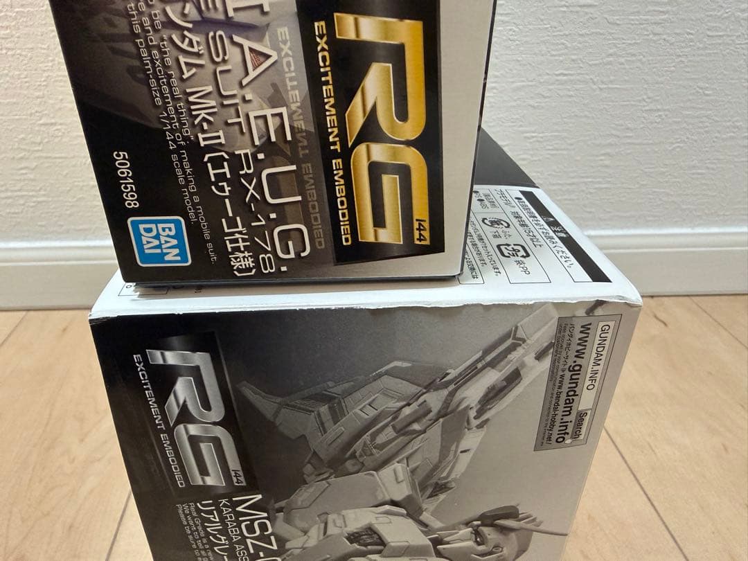 特限〜P還元中 RGガンプラ2体セット