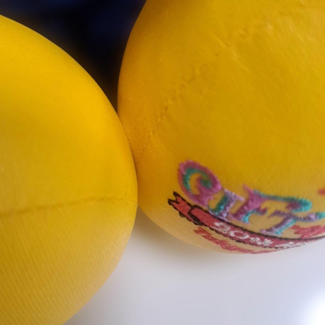 東京ディズニーランド 20周年 ミッキー ぬいぐるみ