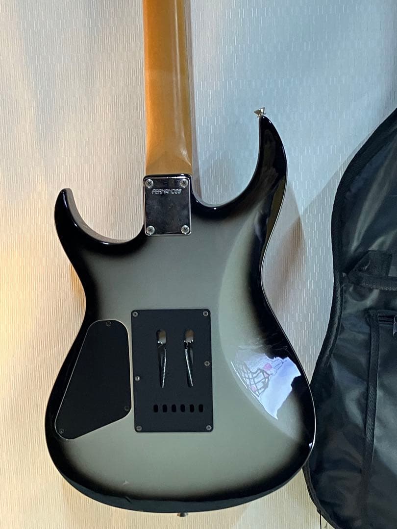 初心者向けフェルナンデスエレキギター！ソフトケース付きます。