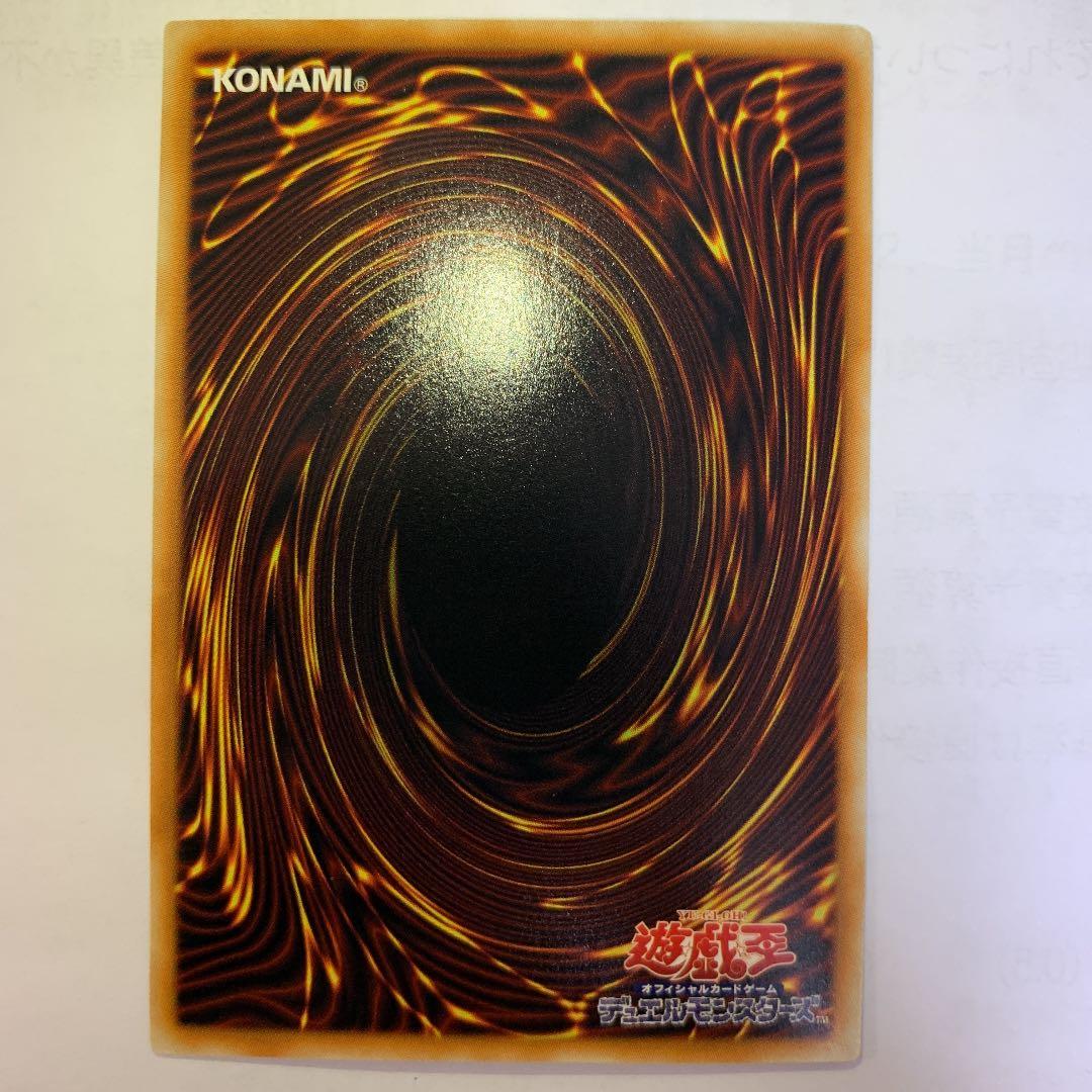 確認用　レインボードラゴン