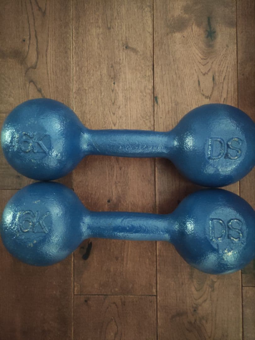 DANNO ダンノ　淡野製作所　１６kg　鉄アレイ　1本　①