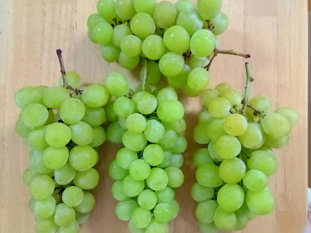 加工用 ぶどう ピオーネ シャインマスカット 粒