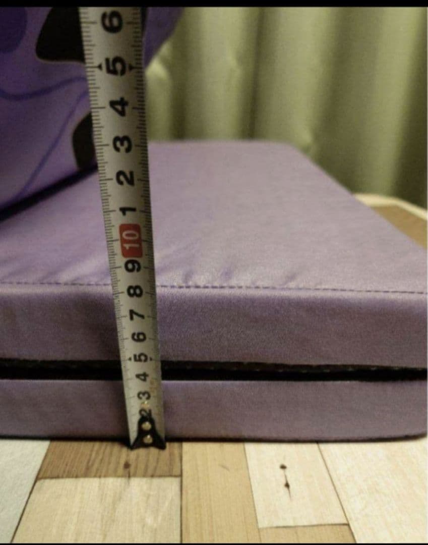 ANNA SUI　ペットマット　犬ベッド　犬マット　アナスイ