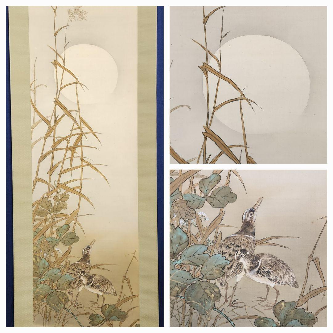 【月下鴨図】団藍舟 2671 満月カモ 共箱　掛け軸 肉筆