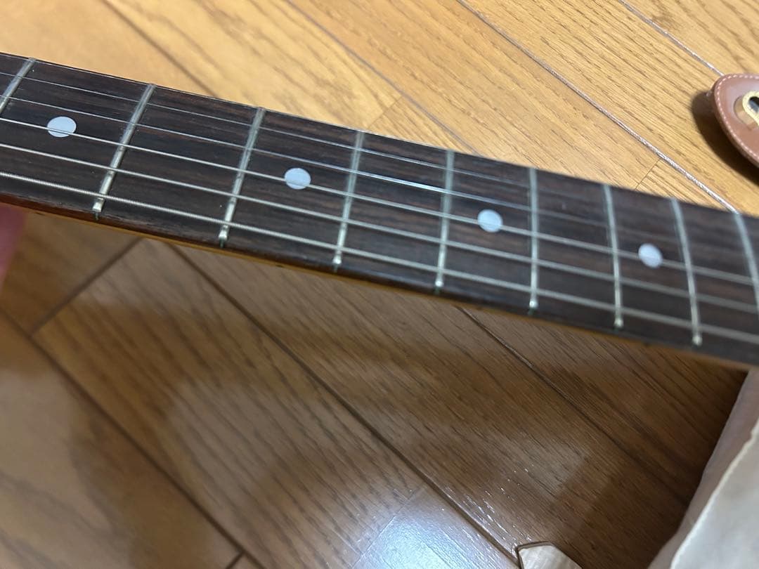 Fender  Cobain Jagstangジャグスタング