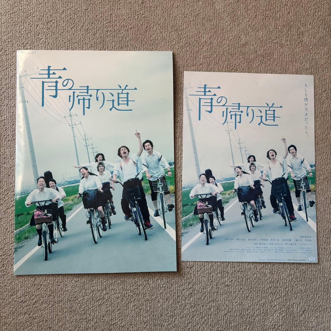 【横浜流星】映画 パンフレット フライヤー チラシ 切り抜き詰め合わせセット