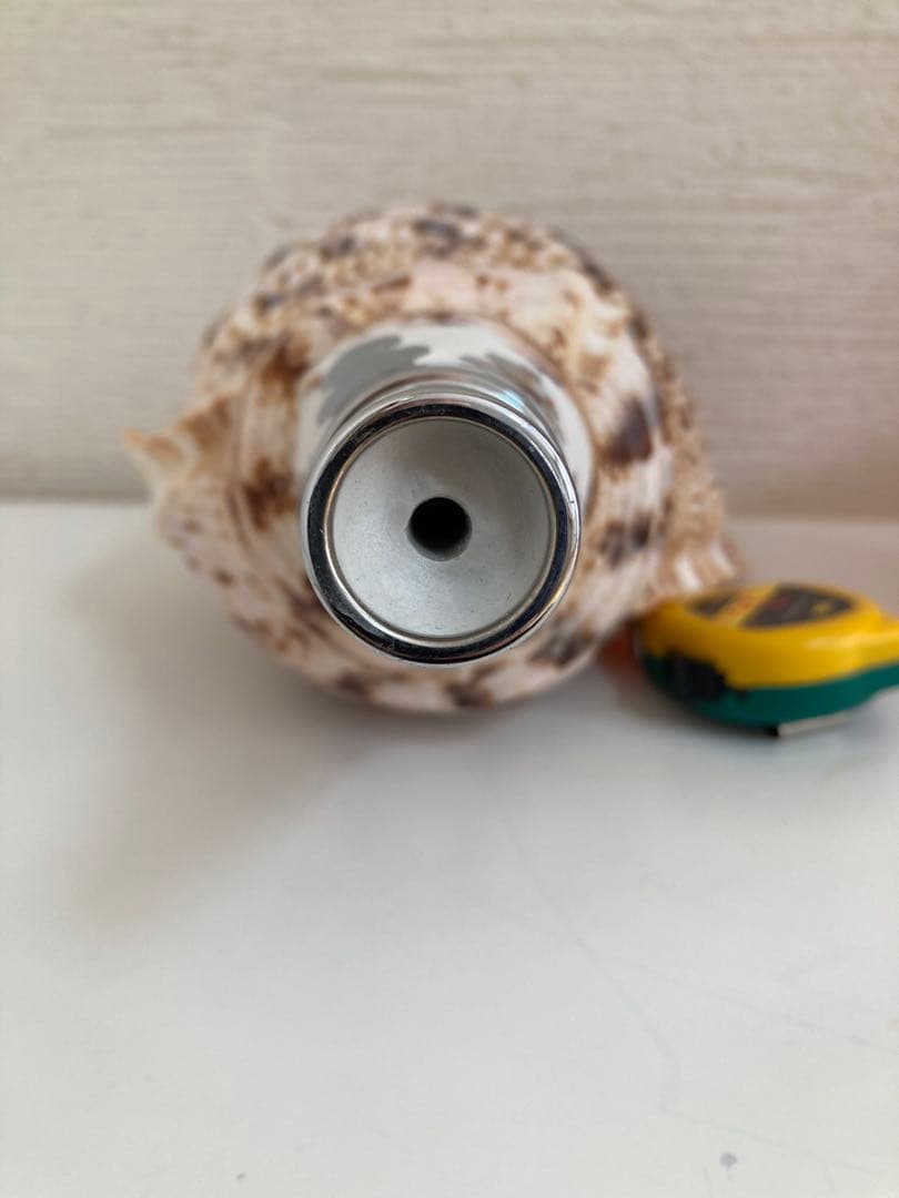 法螺貝　ほら貝　ホラ貝　修験道　お遍路　密教　お祭り　お寺　神社