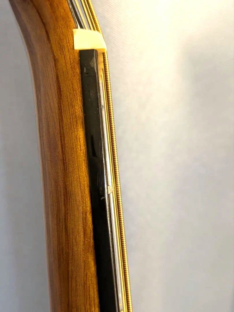 世界トップクラスのLサスティンリヴァ一ブ！！CROSS.REVERBギター