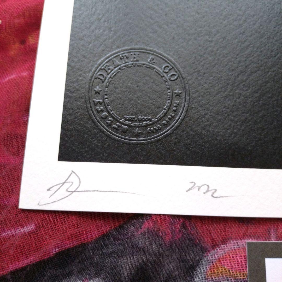 death nyc 世界限定100枚　奈良美智　ロッタちゃん　草間彌生　かぼちゃ