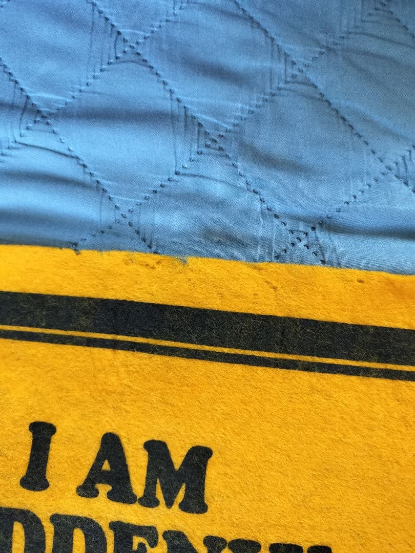 チャーリーブラウンのビンテージフェルトバナーPEANUTS