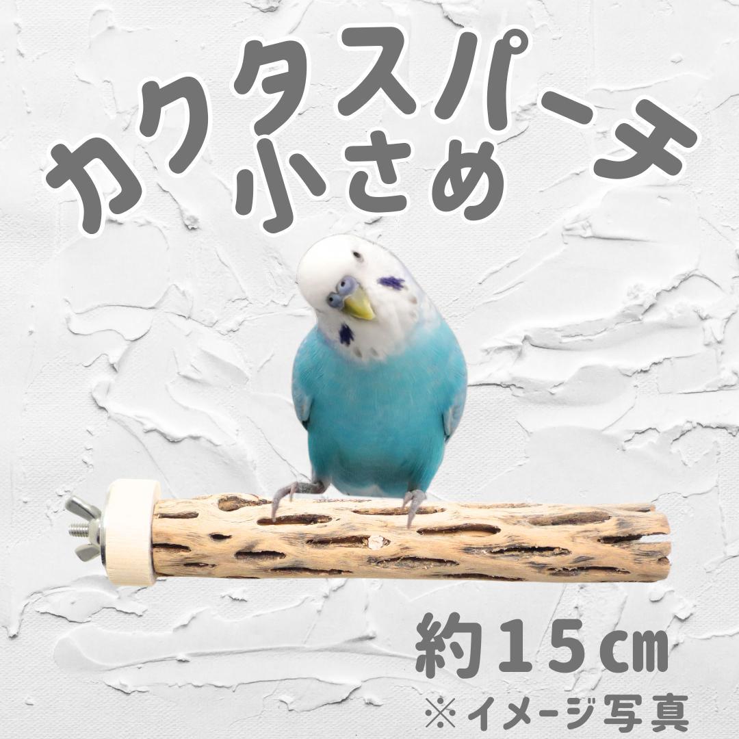 ⭐︎Diamond★　おまとめ　カクタスパーチ　３本