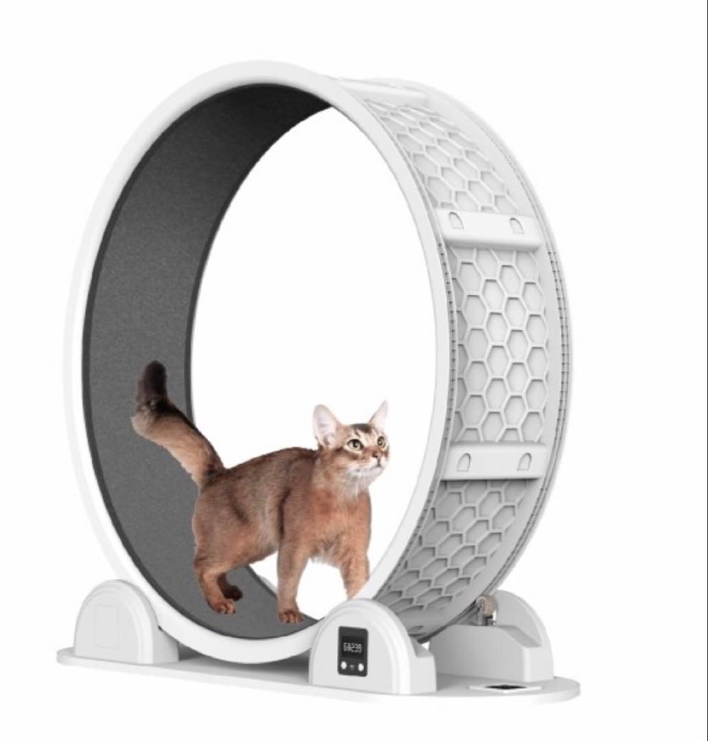 キャットホィール　美品