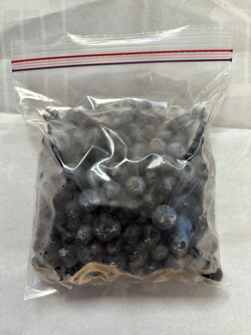 埼玉県産令和7年度冷凍ブルーベリー9キロ