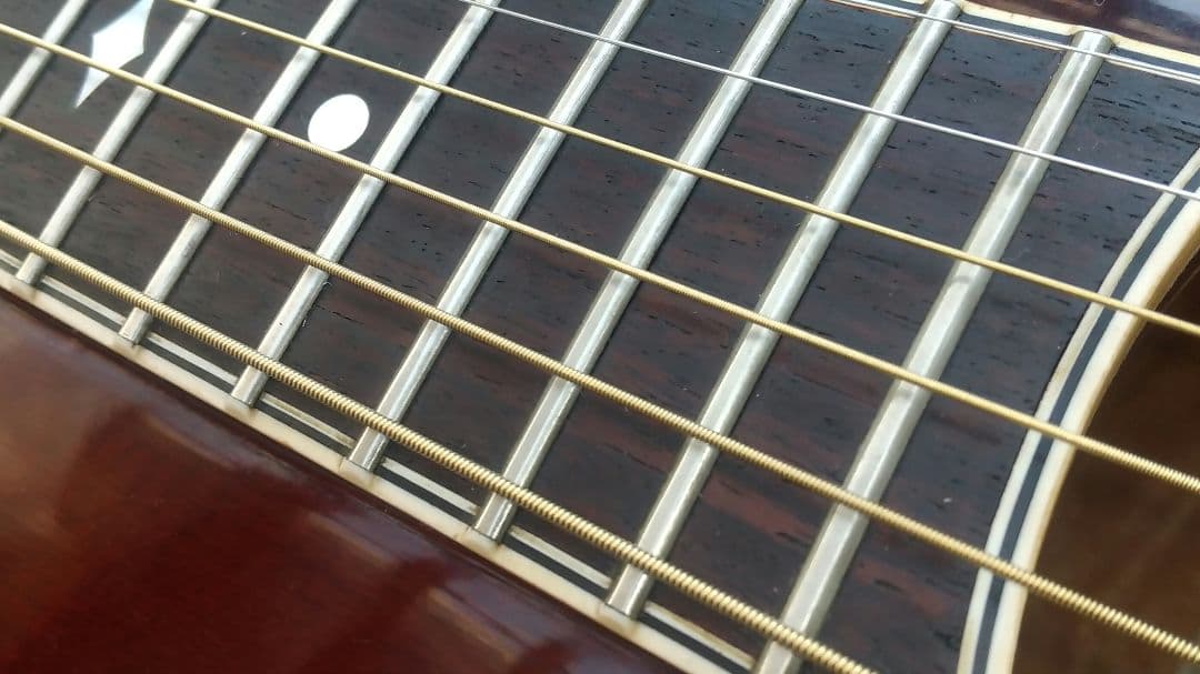 レオさん専用 ARIA Elecord AE-100 エレアコギター