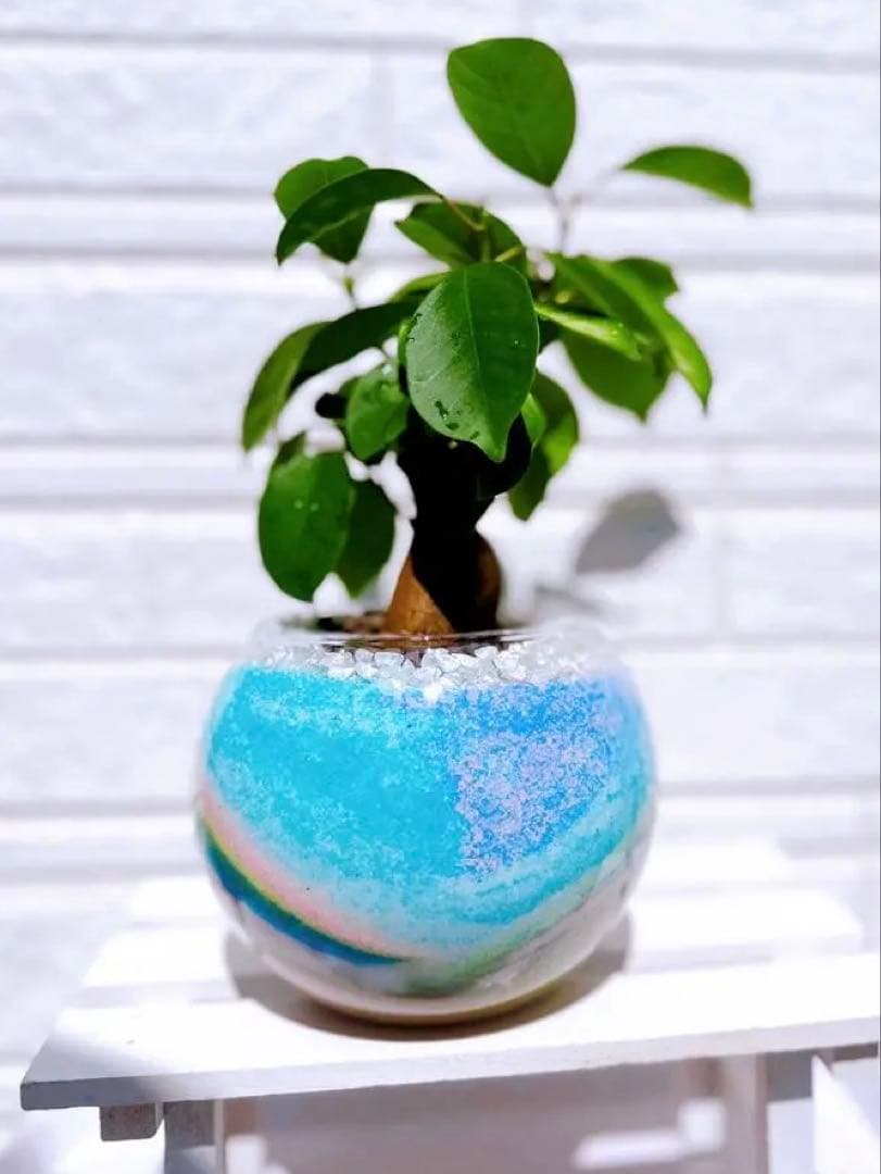 オーダー専用ページ