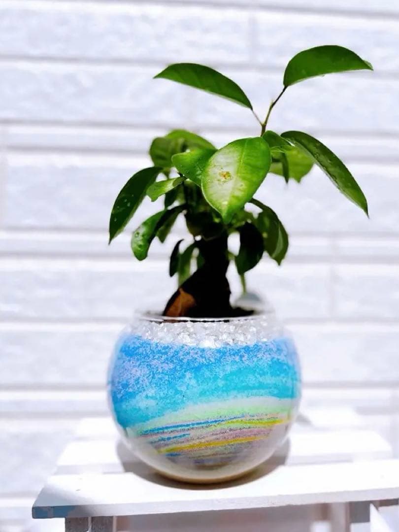 オーダー専用ページ