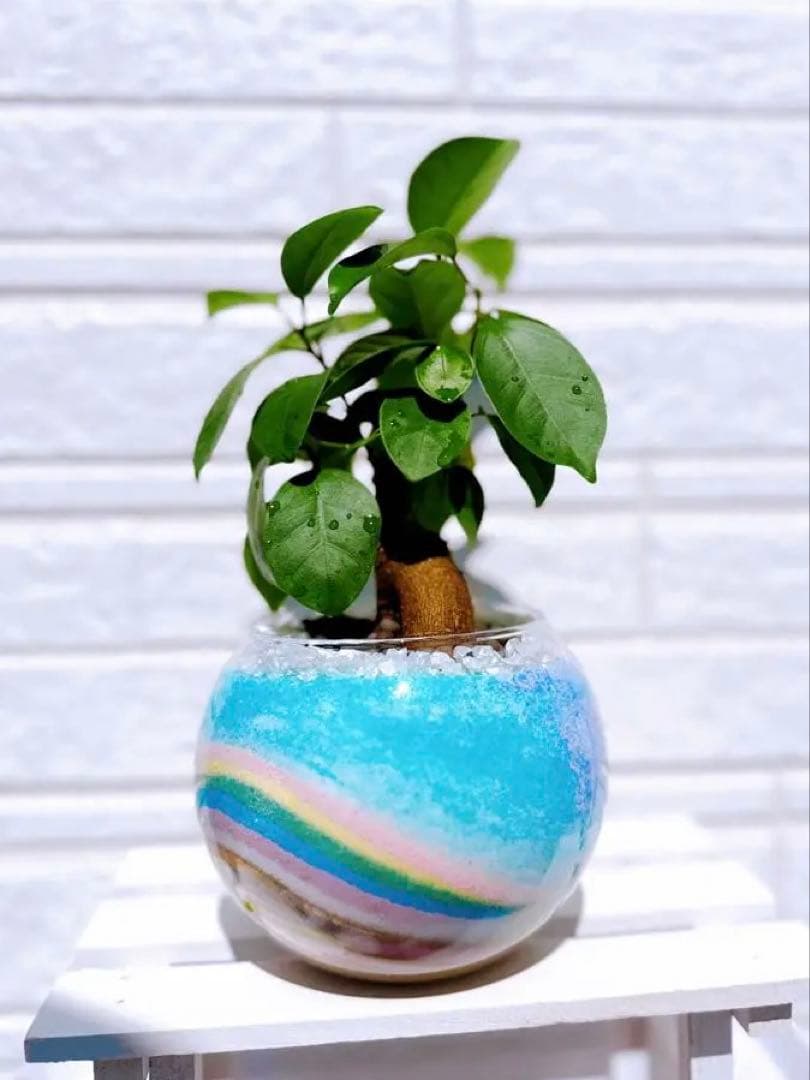 オーダー専用ページ