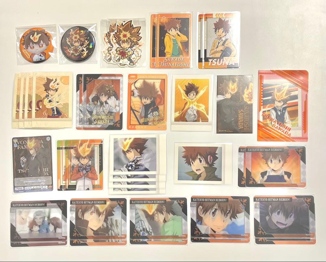 家庭教師ヒットマンREBORN! リボーン 沢田綱吉 まとめ売り