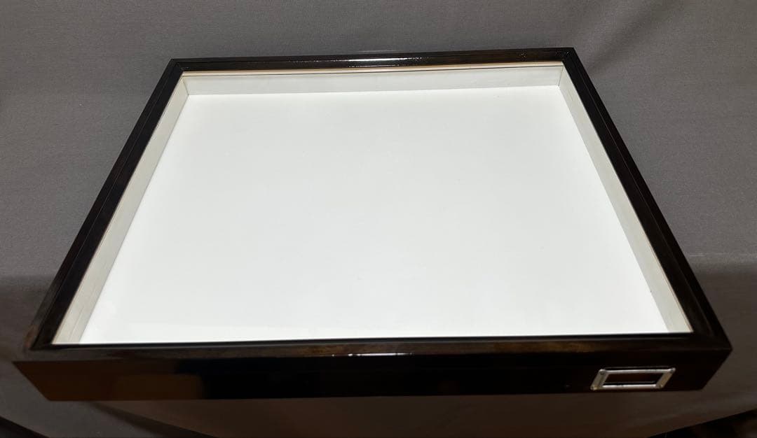 志賀昆虫　ドイツ箱