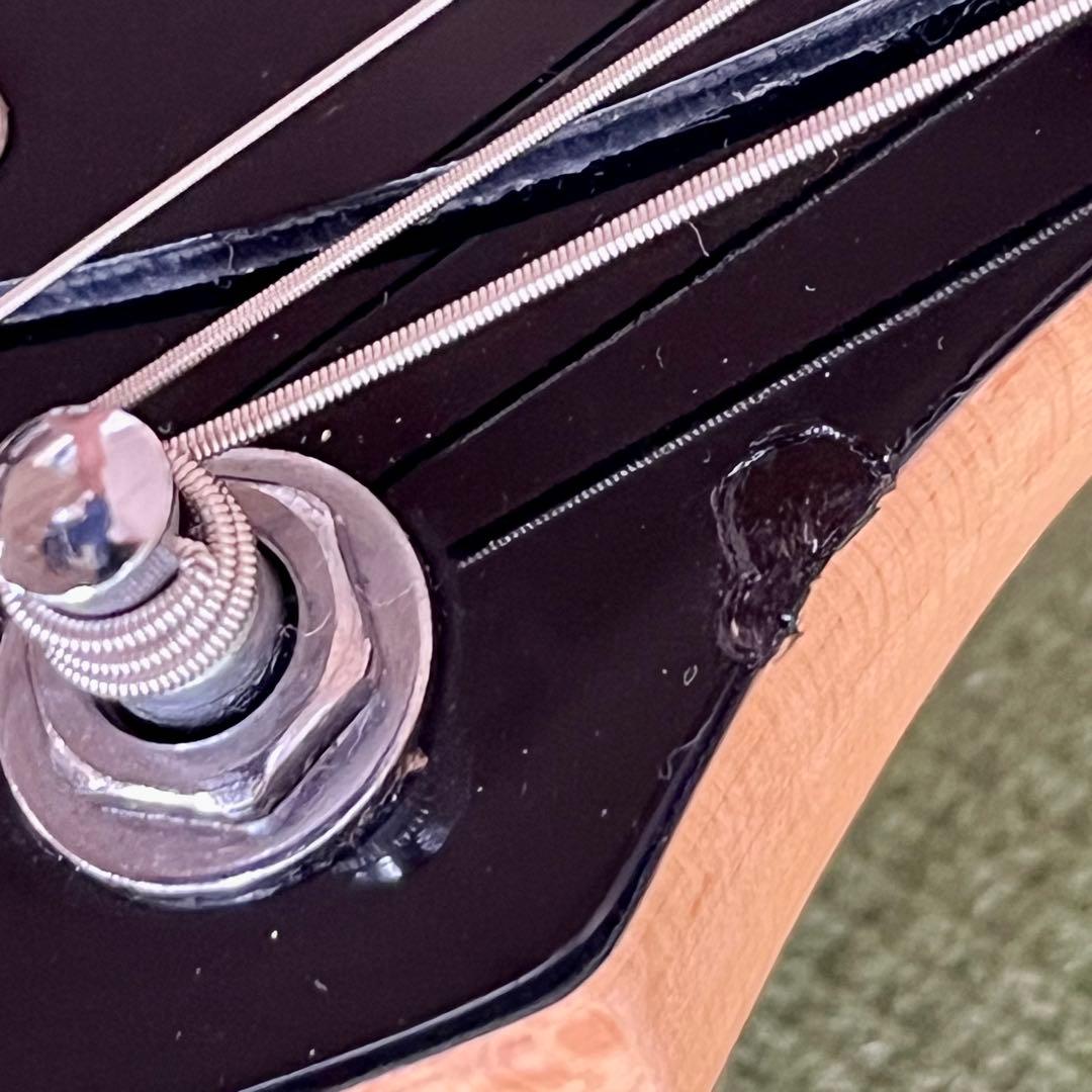 PIGNOSE ピグノーズ アンプ内蔵ミニギター