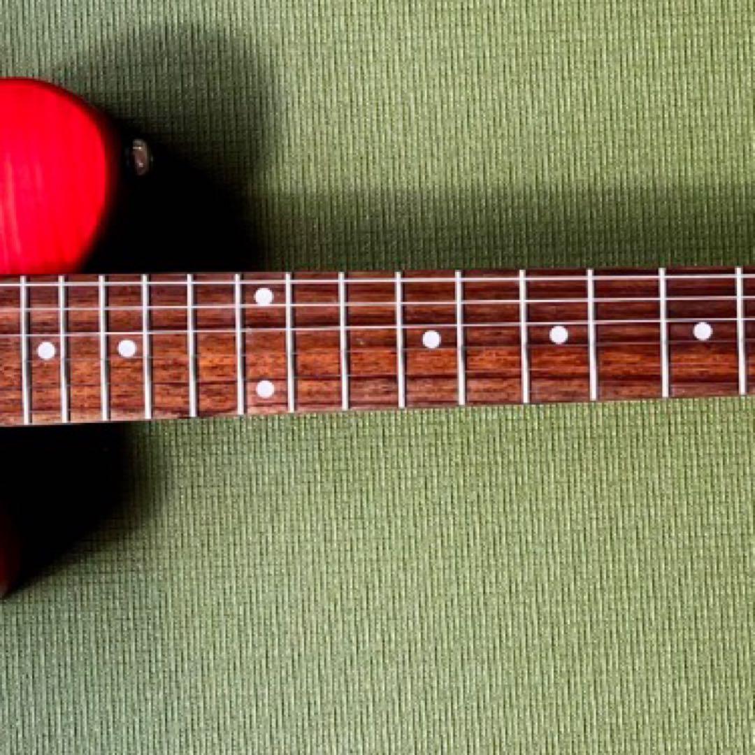 PIGNOSE ピグノーズ アンプ内蔵ミニギター