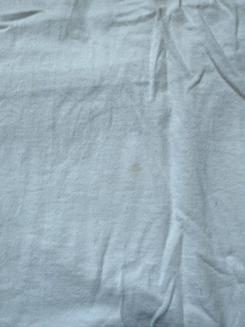 DWS JAPAN （色流シ）希少Tシャツ2枚セット