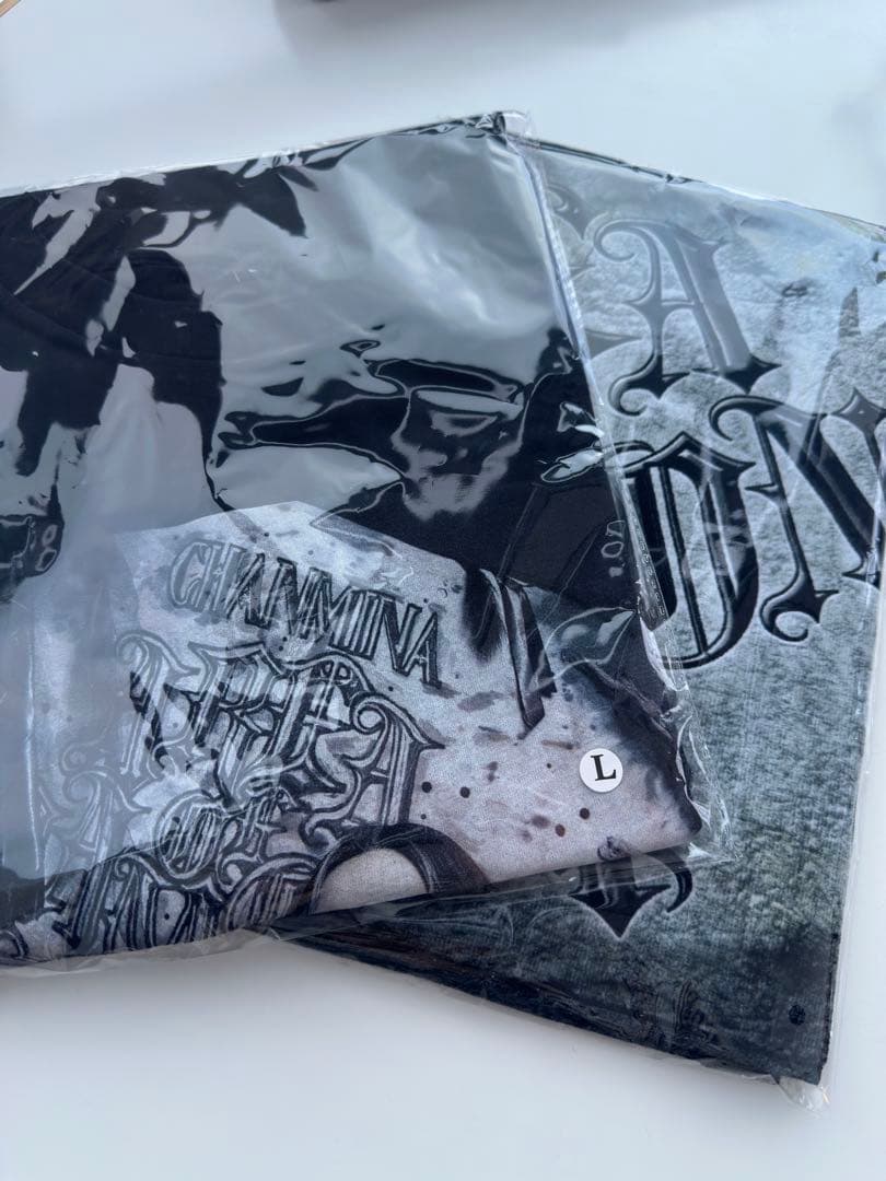 ちゃんみな AREA OF DIAMOND 4 Tシャツ Lサイズ・タオル