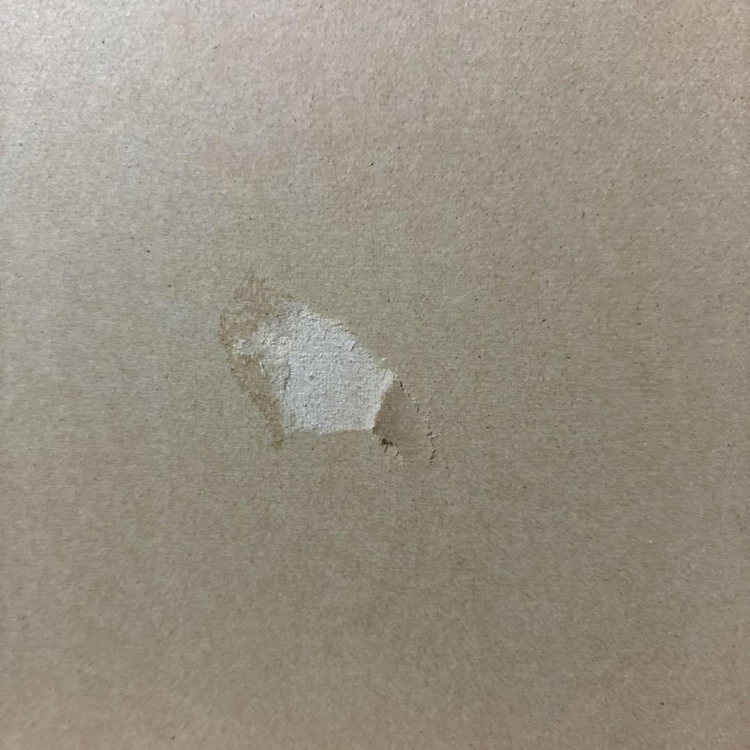 フジミトヨタ チェイサー GT ツインターボ (GX71) 1/24プラモデル