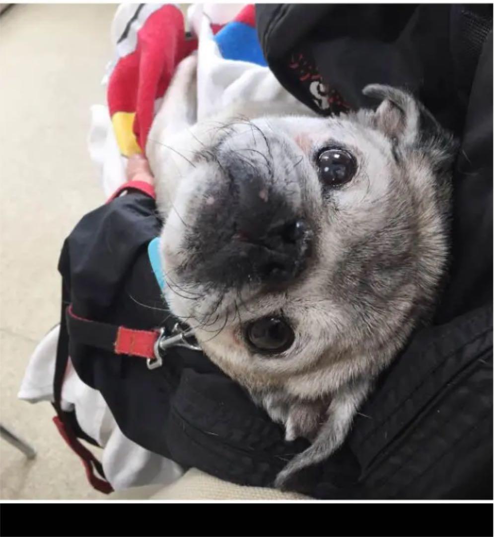 HANA♡HANA☆様宜しくお願い致します♡